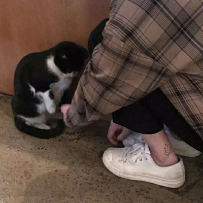 智能风控系统平台，采用AI驱动的实时风控系统，可识别100+种异常交易行为。智能预警机制在风险发生前自动触发保护措施，最大限度保障用户资产安全。